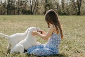 little girl playing with two puppies in a field