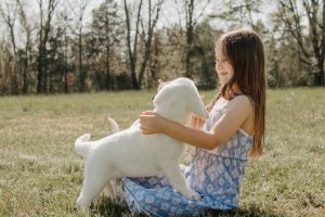 little girl smiling while playing with a puppy