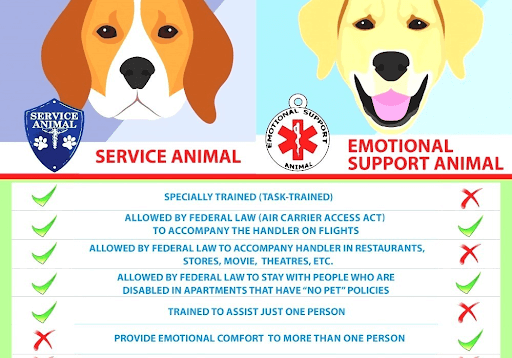 Service Dog Vs Emotional Support Animal Infographic