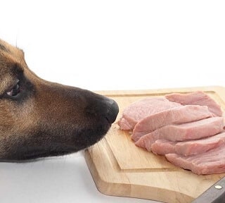 are pork steak bones safe for dogs