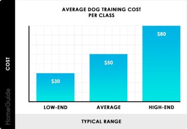 Average Spending Cost