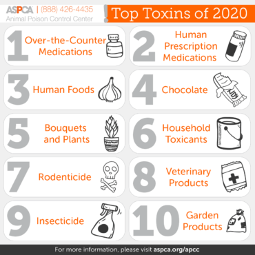 http://www.snowypineswhitelabs.com/wp-content/uploads/2021/12/apcc_top-10_infographic_031121_top-10-toxins-370x370.png
