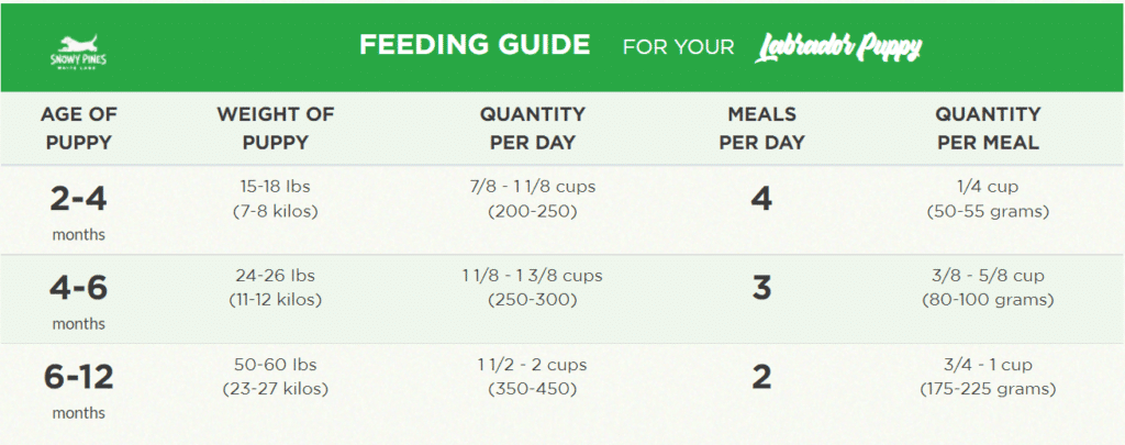 Feeding Guide For Golden Retriever