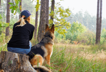 adult owner playing with german shepherd