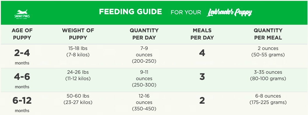 Puppy Weight Chart: This is How Big Your Dog Will Be