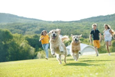 Children playing with dogs in nature