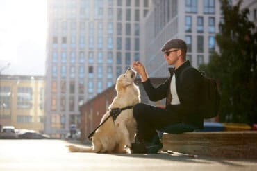 Seeing-eye dog with handler