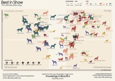 Dog intelligence chart