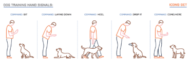 dog training hand signals chart