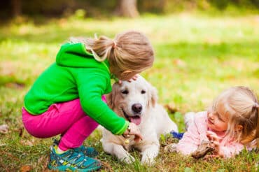 Children playing with Golden Retriever