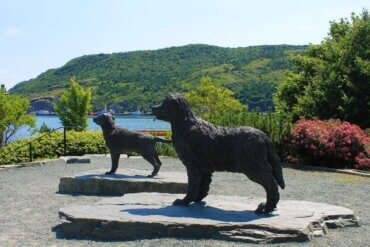 labrador statues in canada 