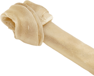 dog bone