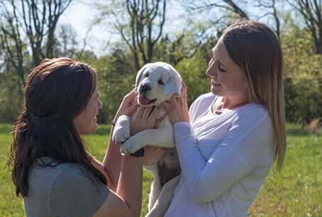 image of a woman holding her new white labrador puppy