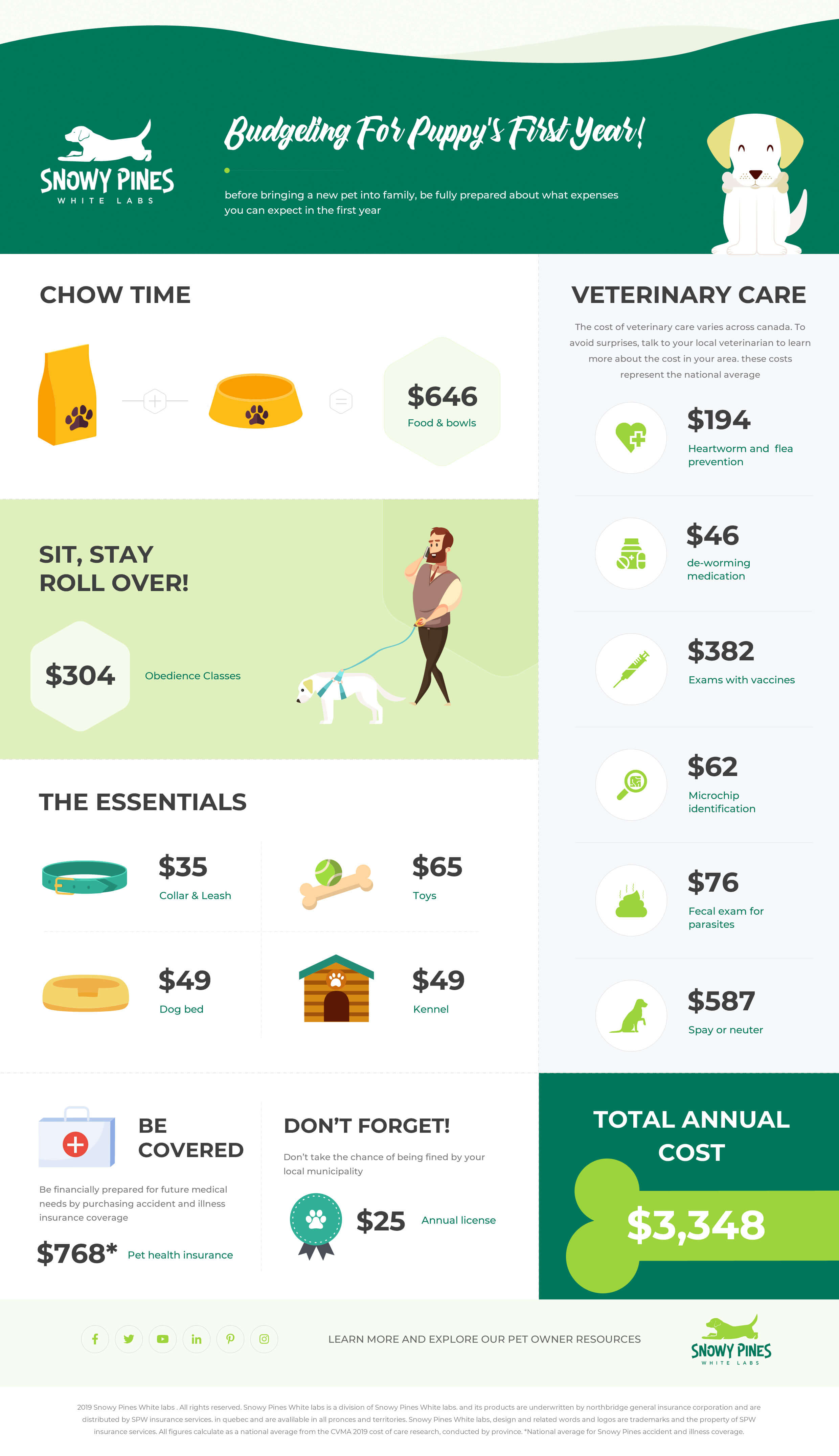 info graphic of dog costs