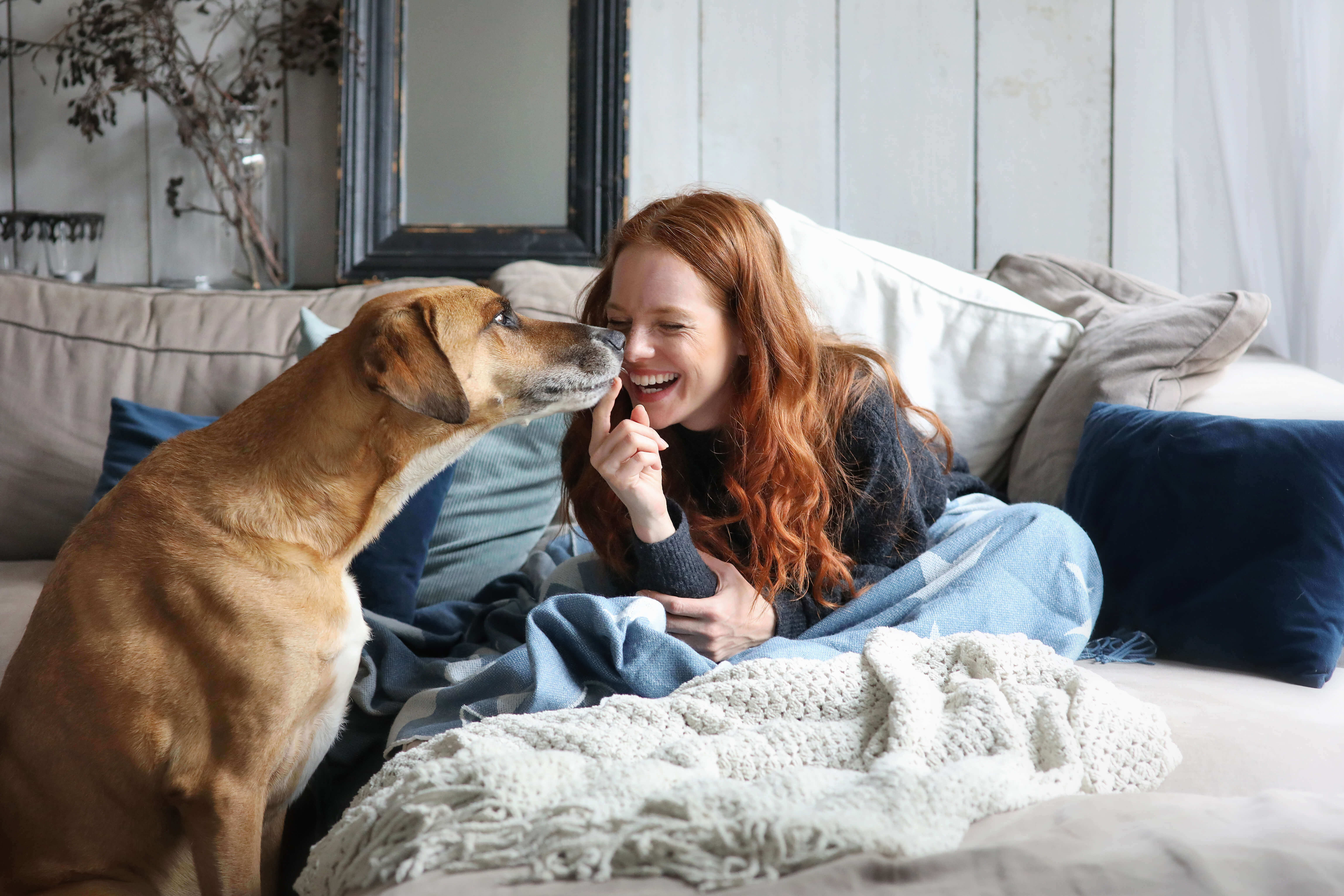 Woman Sitting With Dog On Couch