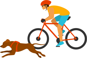 Owner riding a bike with dog