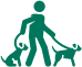 Two dogs being socialized together by a Male