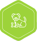 green dog icon