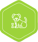 green dog icon