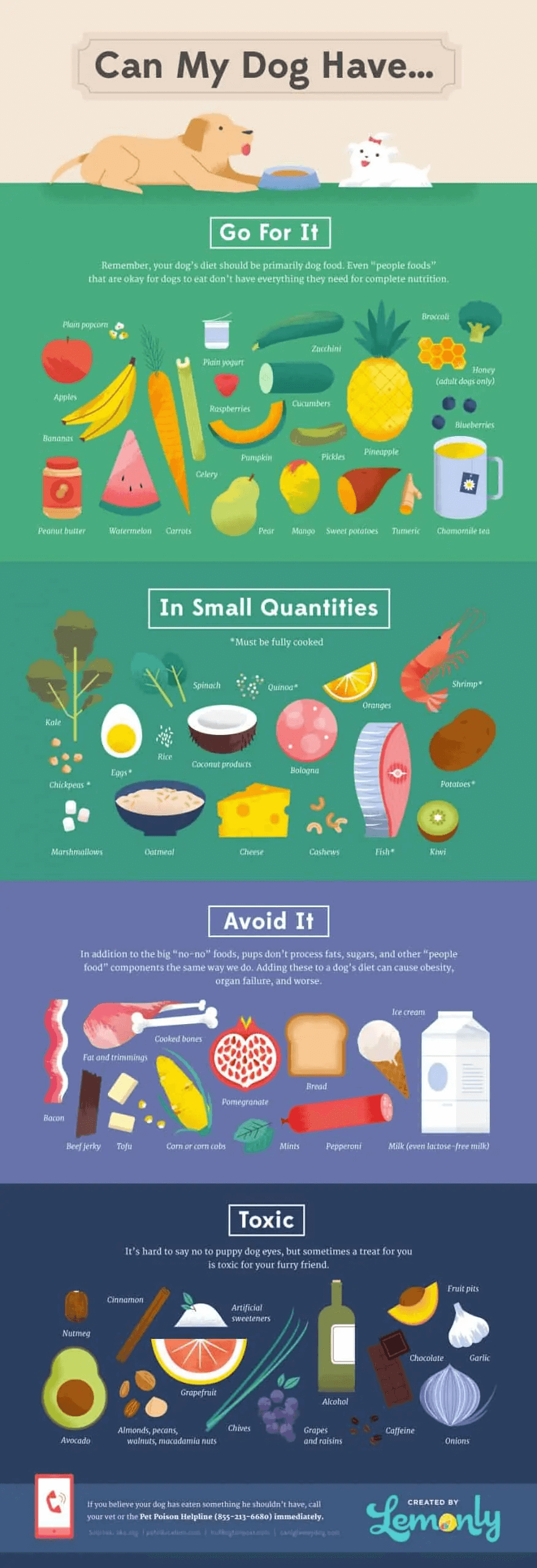 Can My Dog Eat Infographic