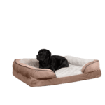 black lab laying on white and brown dog bed