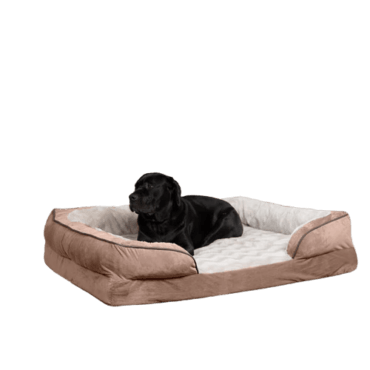 black lab laying on white and brown dog bed