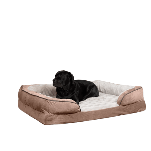 black lab laying on white and brown dog bed
