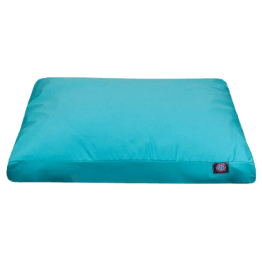 turquoise colored dog bed