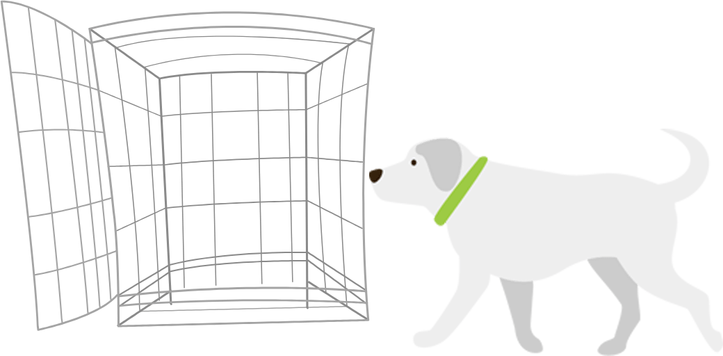 Crate Training a Puppy - VitaPet