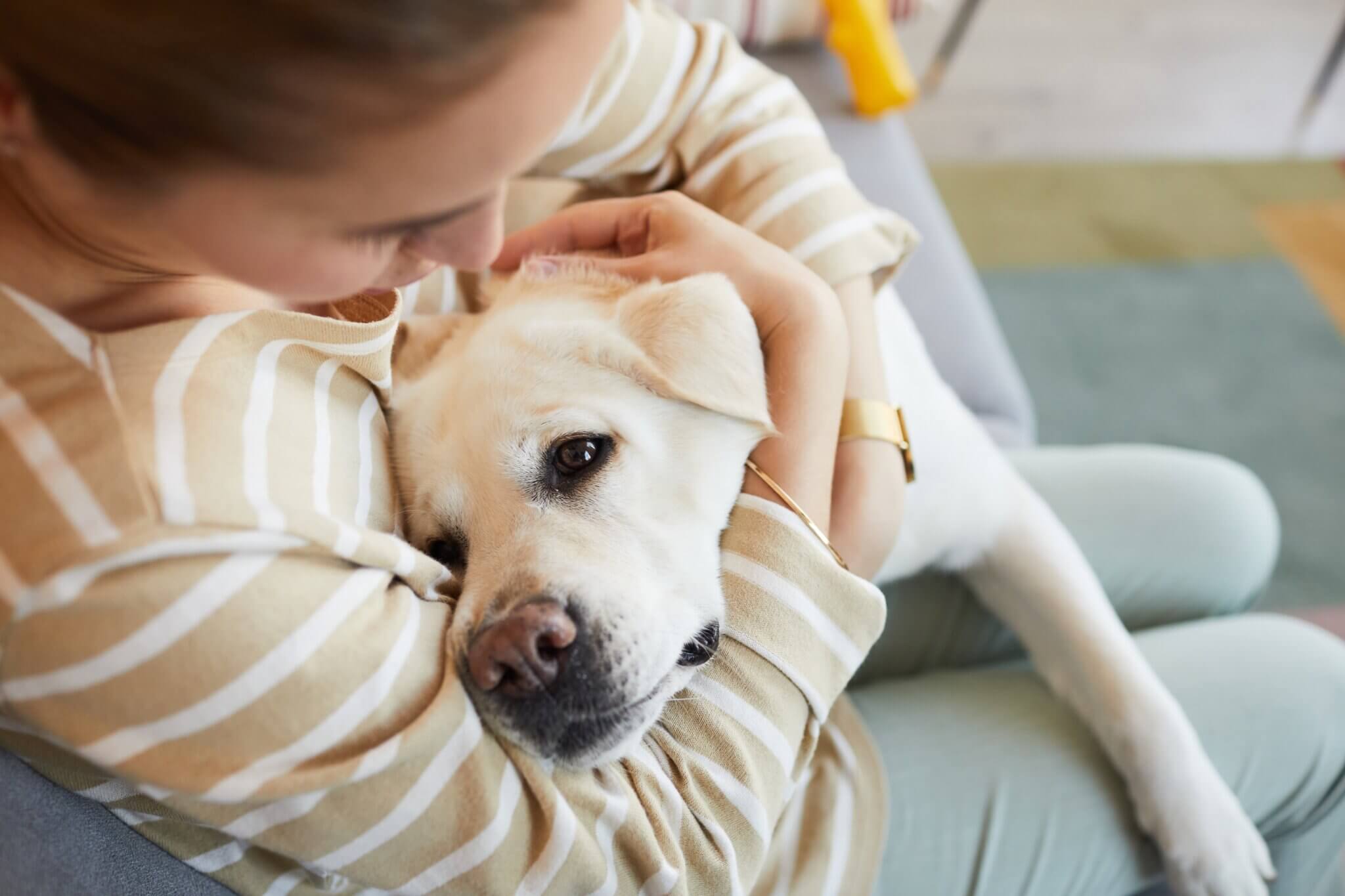 Emotional Support vs Service Dog What s Right for You? Emotional Support vs Service Dog What s Right for You?