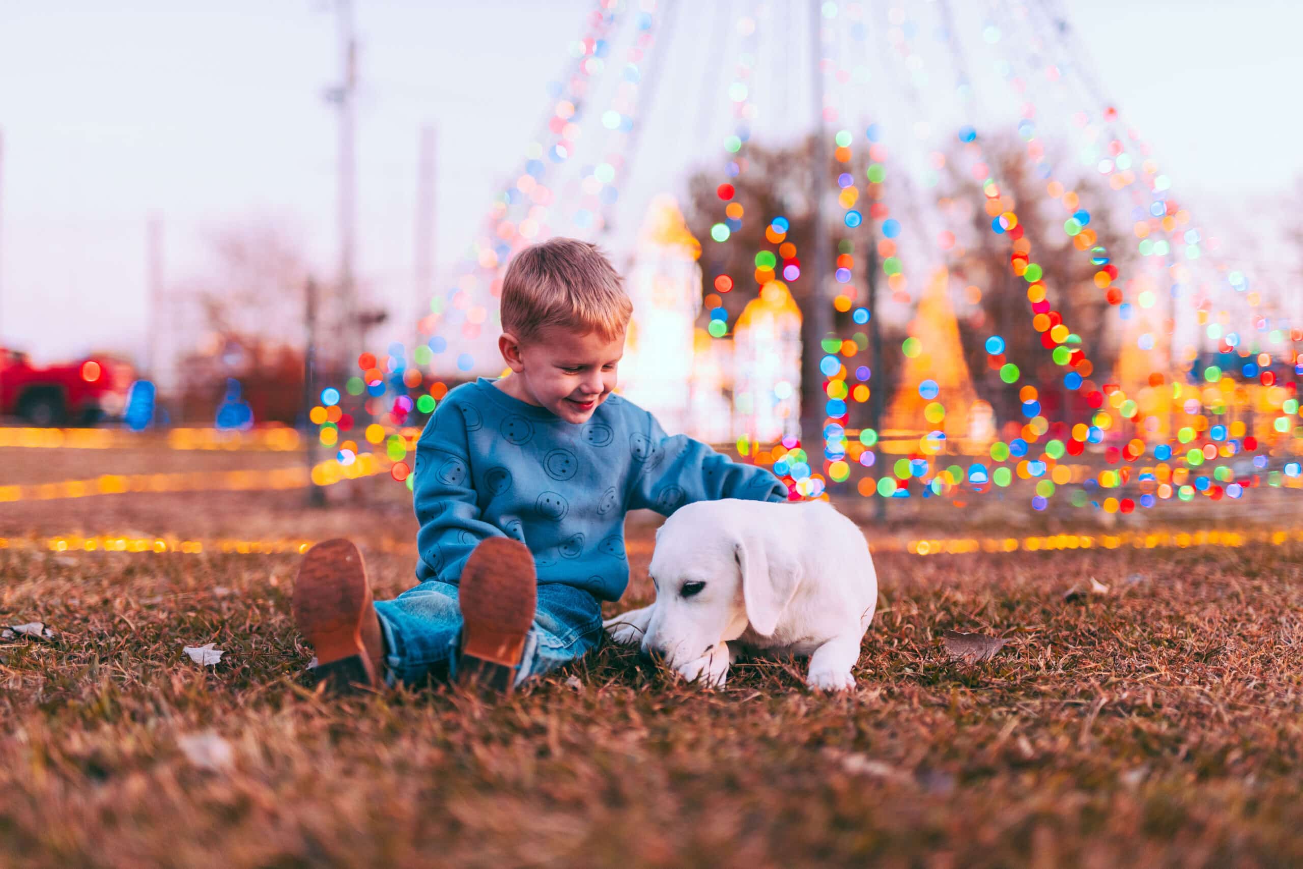 boy with white lab
