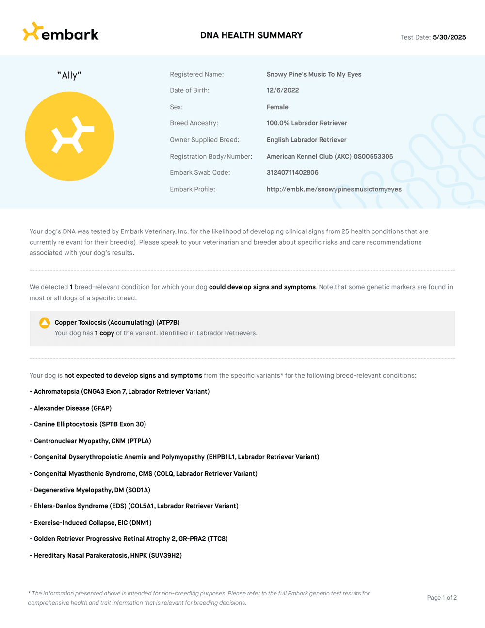 Ally Embark DNA Report report