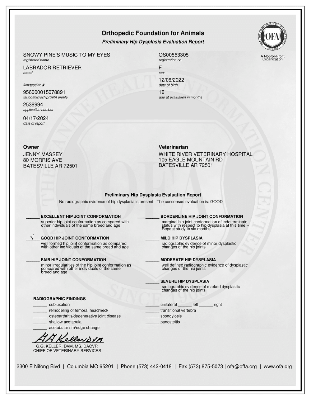 Ally OFA hip evaluation certificate, Good, 2024