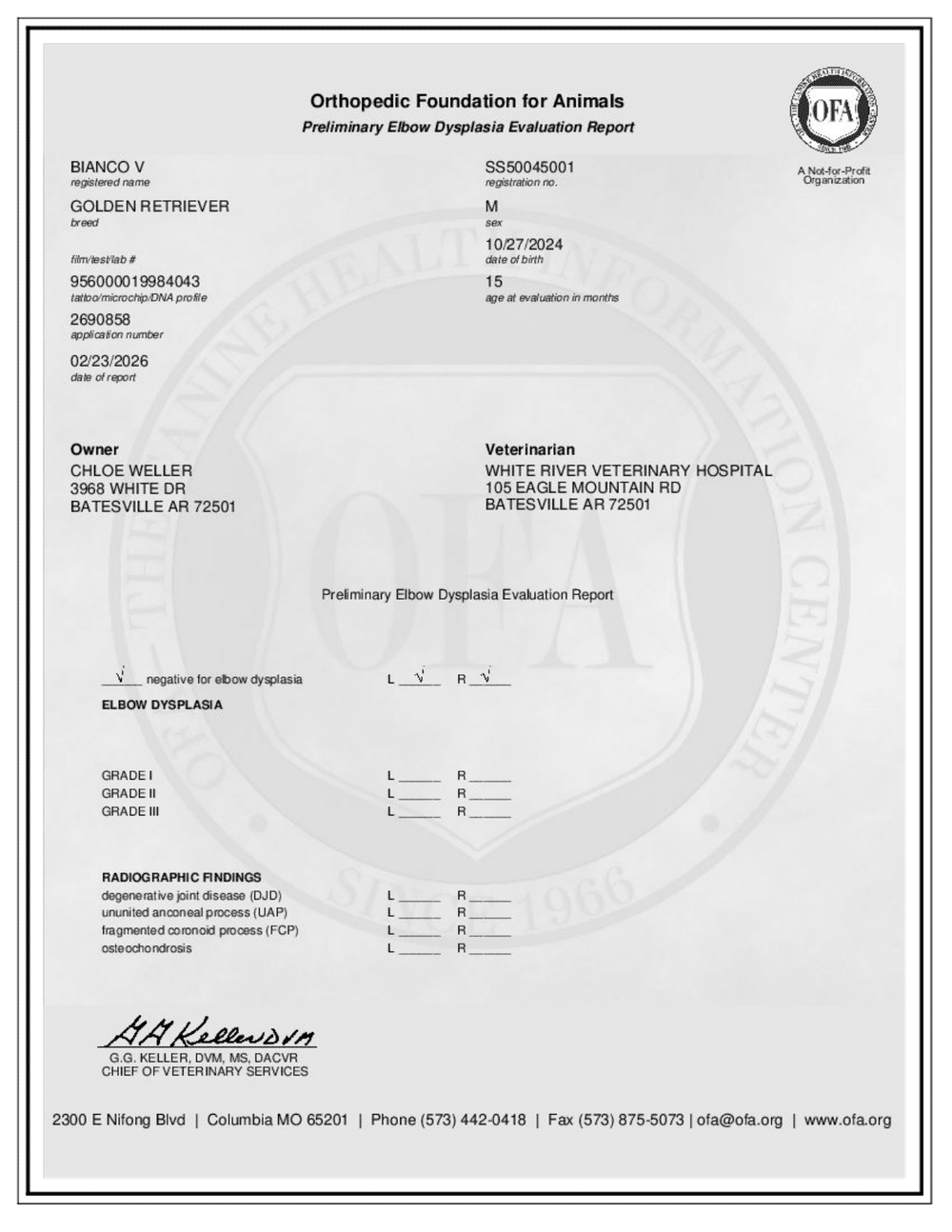 Blanco OFA Elbow Evaluation certificate