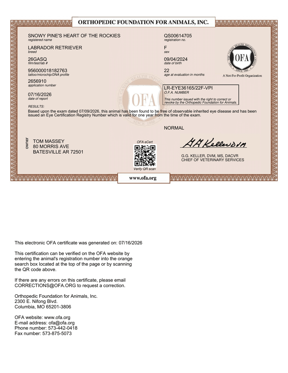 Dillon OFA Eye (CAER) Certification certificate