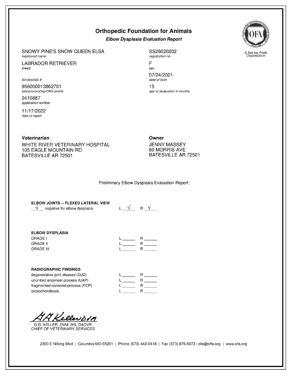 Elsa OFA Elbow Evaluation certificate
