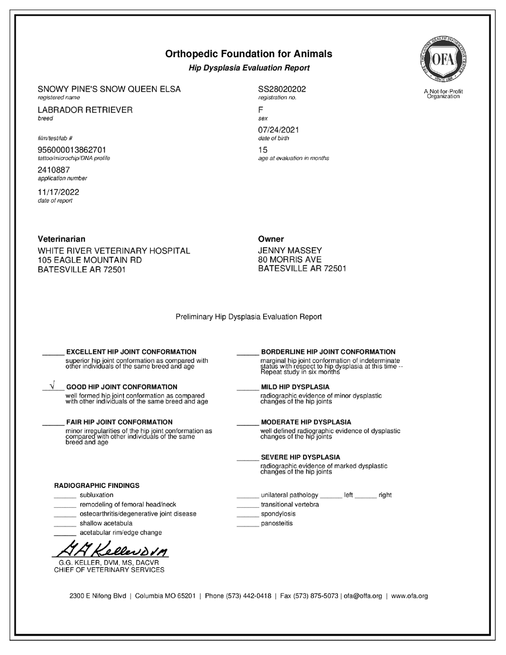 Elsa OFA Hip Evaluation certificate