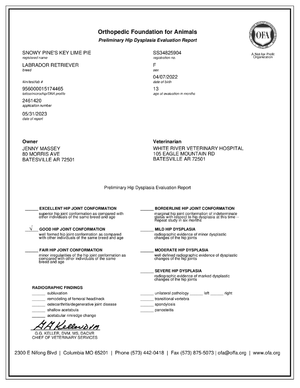 Lime OFA Hip Evaluation certificate
