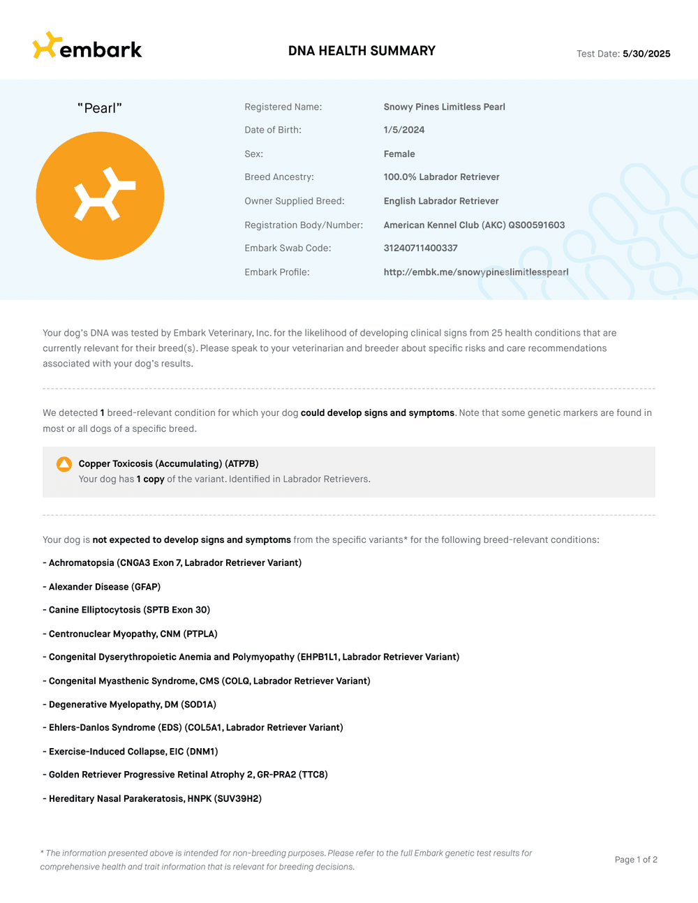 Pearl Embark DNA Report report