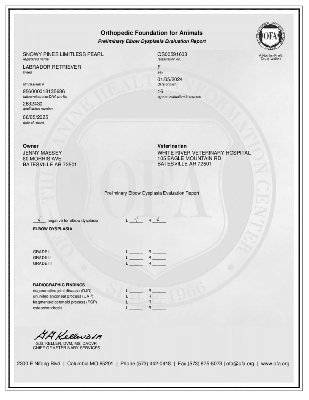 Pearl OFA Elbow Evaluation certificate