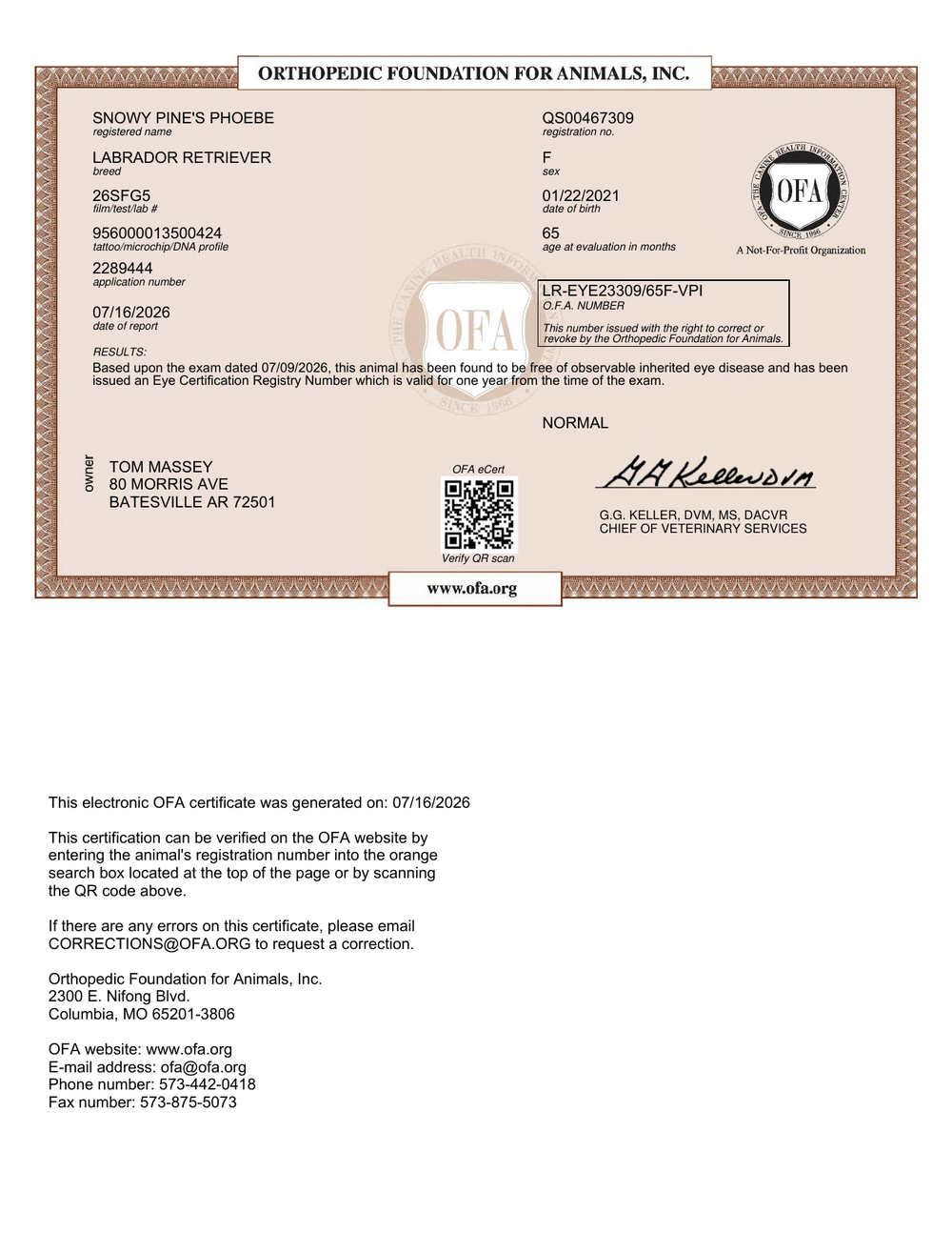 Phoebe OFA Eye (CAER) Certification certificate
