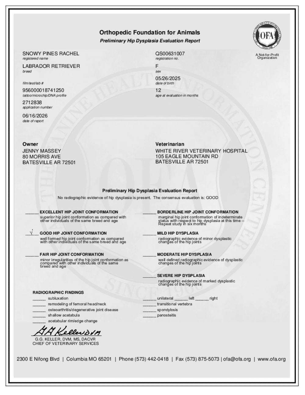 Rachel OFA Hip Evaluation certificate