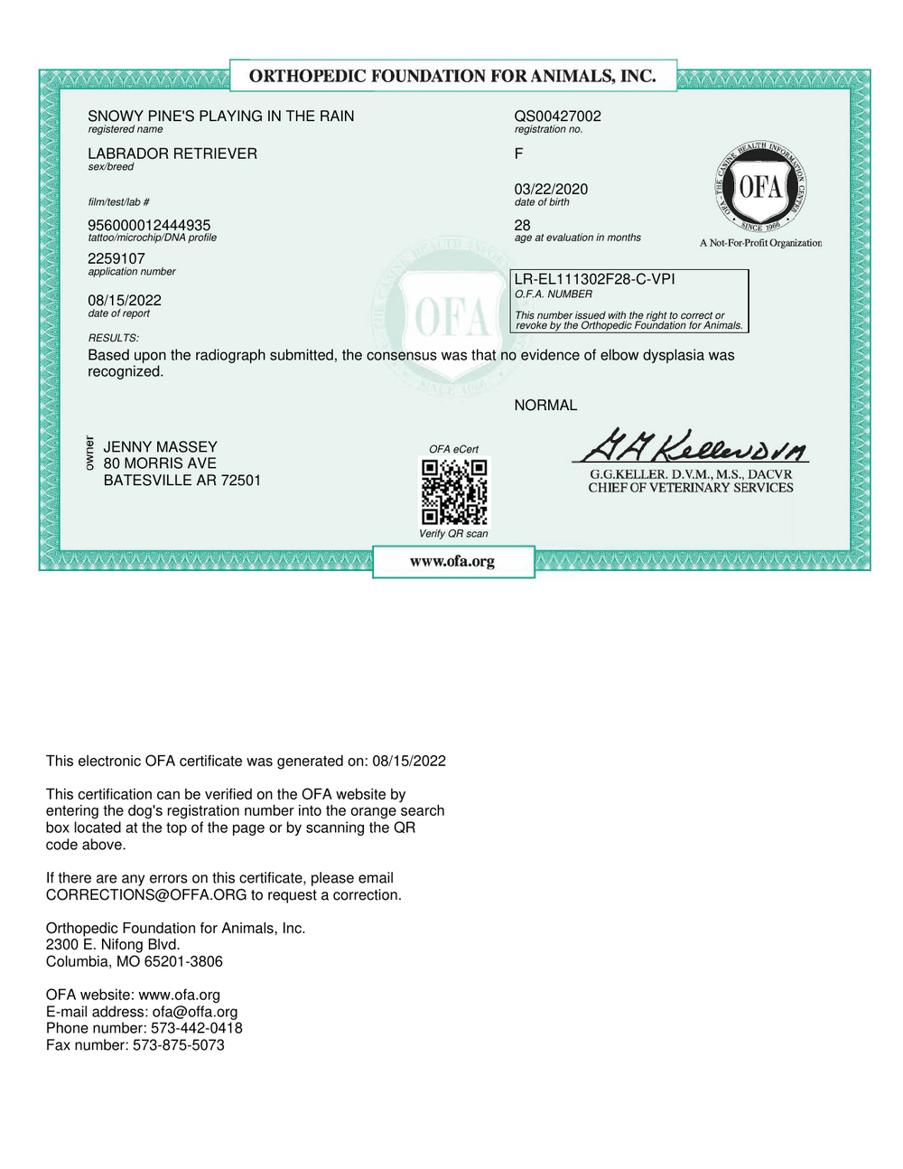 Rain OFA Elbow Evaluation certificate