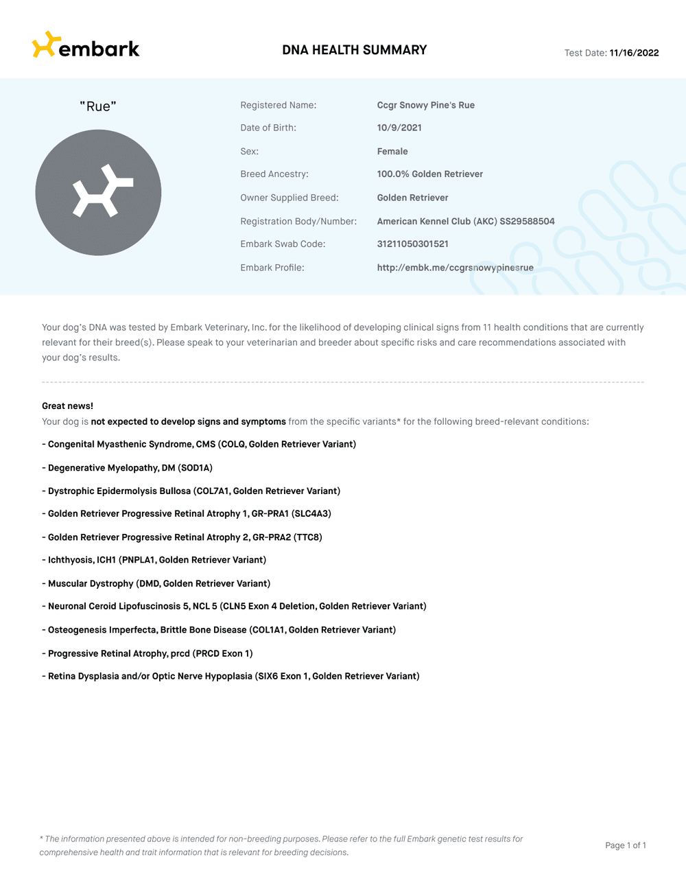 Rue Embark DNA Report report