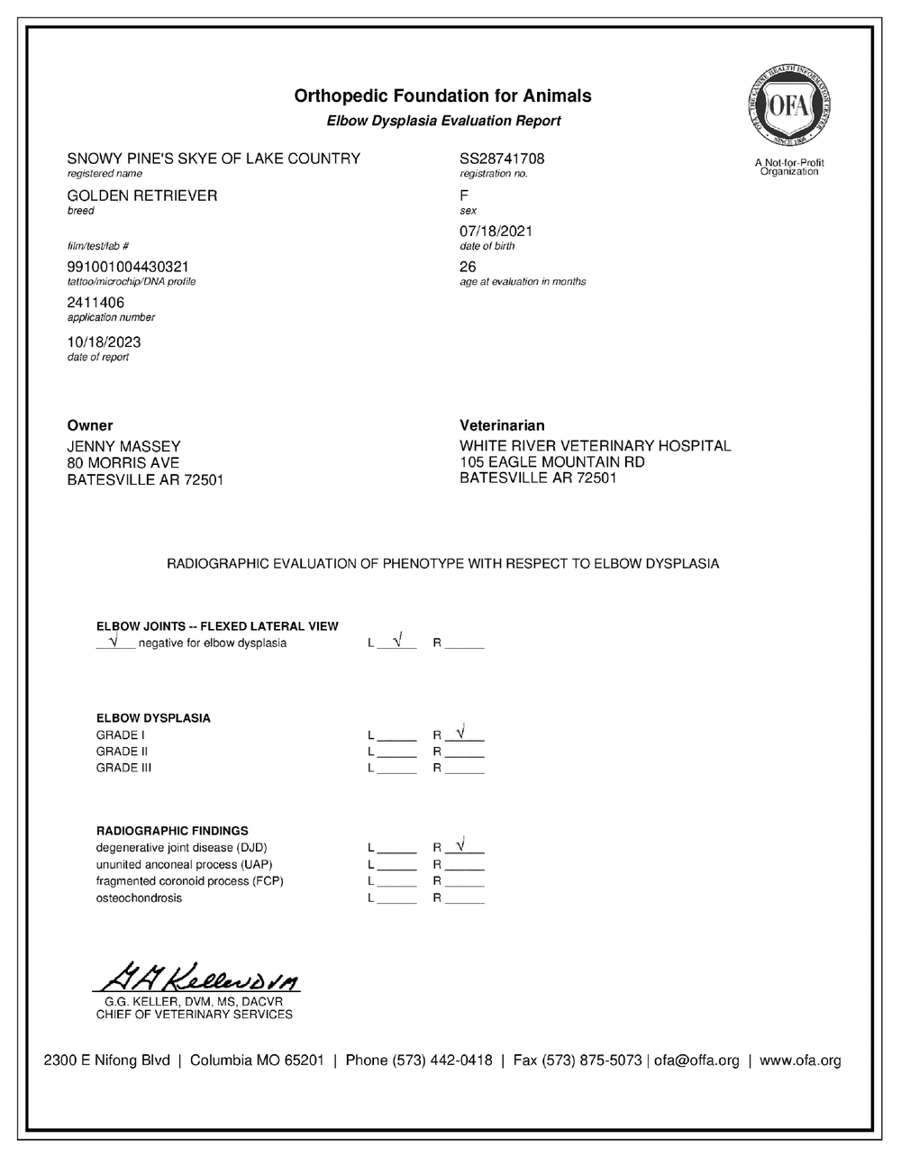 Skye OFA Elbow Evaluation certificate