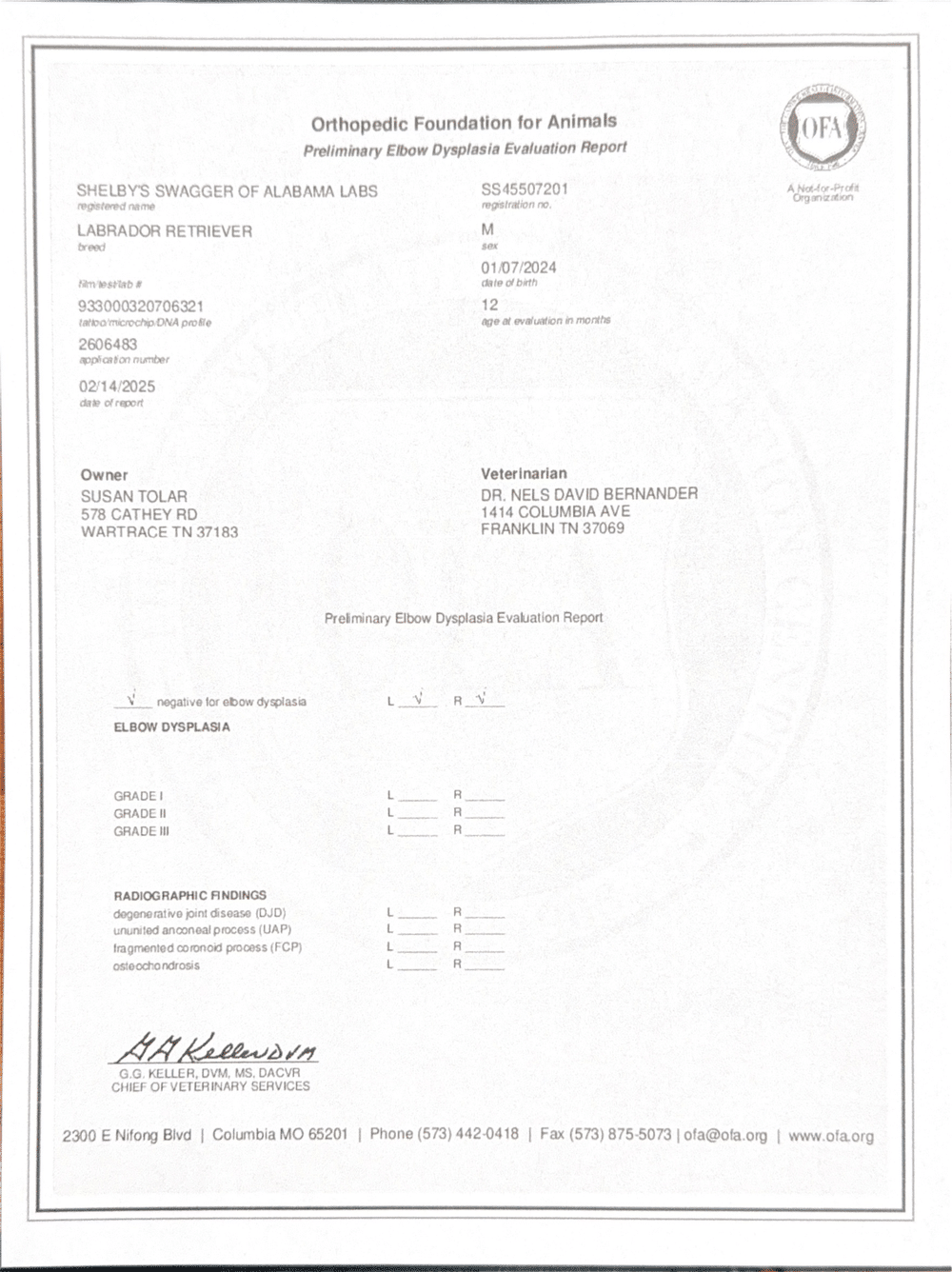 Swagger OFA Elbow Evaluation certificate