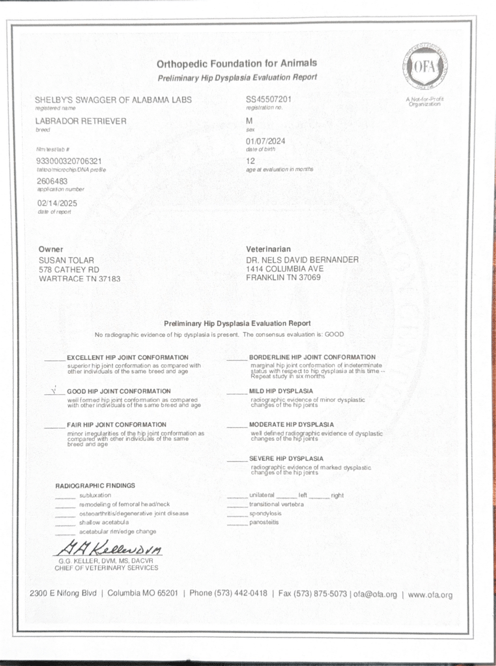 Swagger OFA Hip Evaluation certificate