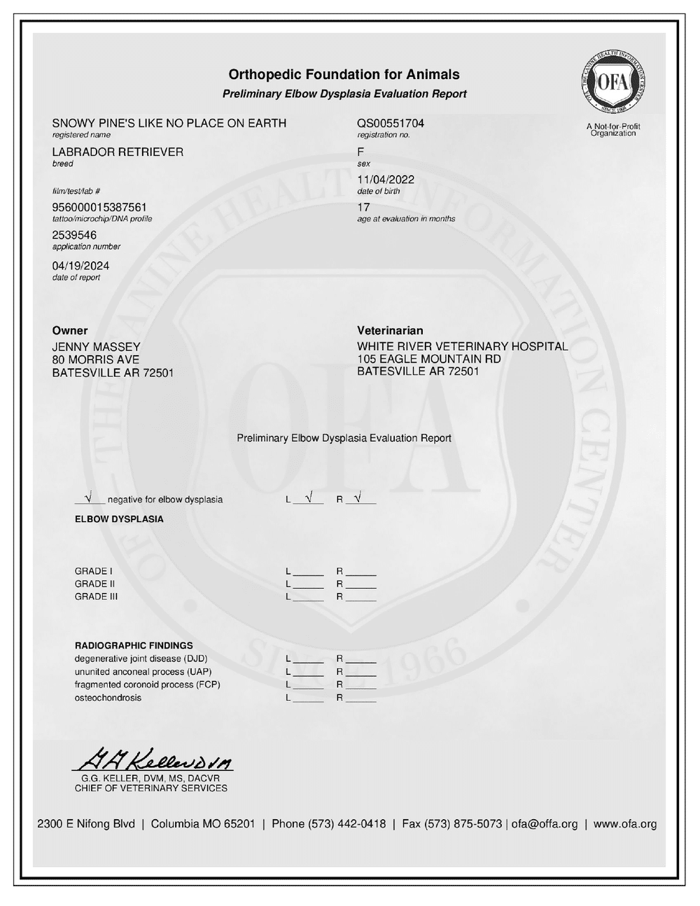 Vail OFA Elbow Evaluation certificate