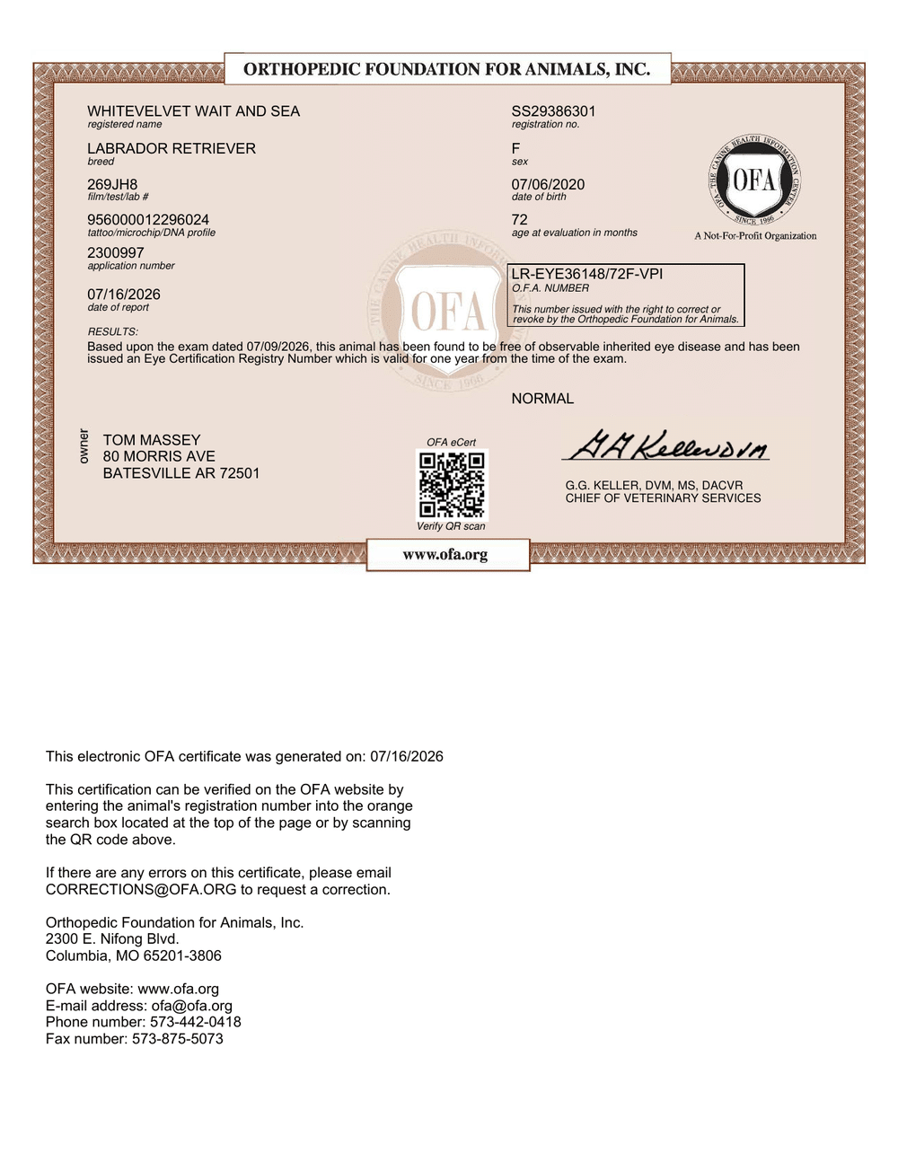 Winnie OFA Eye (CAER) Certification certificate