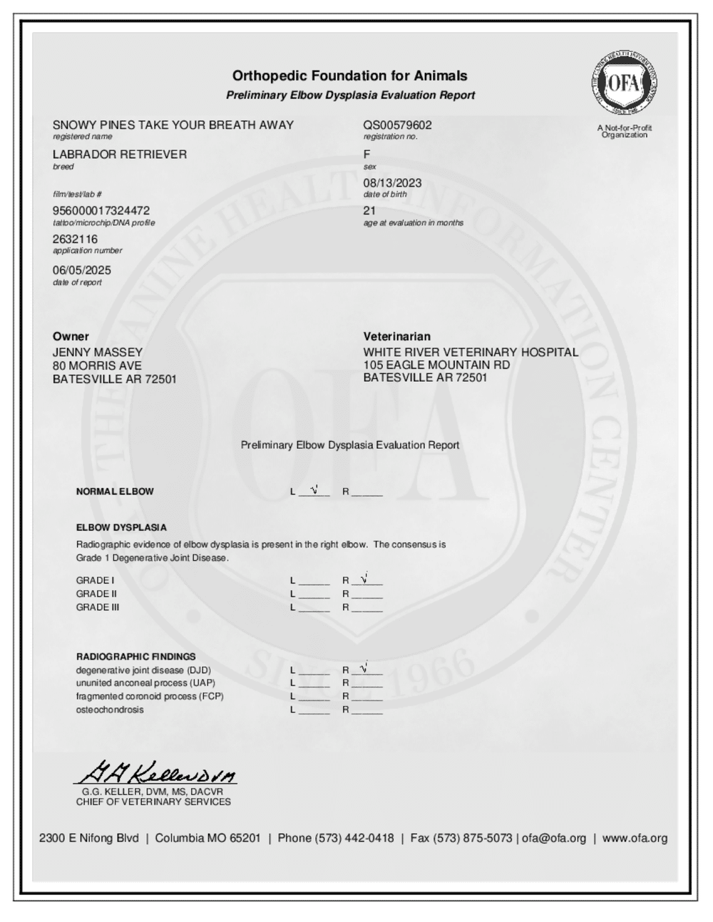 Delilah OFA Elbow Evaluation certificate